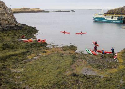 Kajaktur ved Stykkisholmur - havkajak ved Snæfellsnes-halvøen - aktiviteter i Island med ISLANDSREJSER
